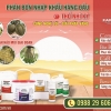 Giải pháp vàng cho mọi giai đoạn trên cây Sầu Riêng !