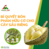 Bí Quyết Bón Phân Hữu Cơ Giúp Cây Sầu Riêng Cho Trái Lớn Nhanh