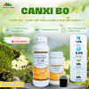 CaB (Canxi Bo) - HỖ TRỢ GÌ TRONG GIAI ĐOẠN LÀM BÔNG NUÔI TRÁI
