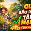 Giá sầu riêng tăng mạnh