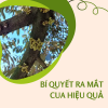 BÍ QUYẾT RA MẮT CUA HIỆU QUẢ – GIÚP CÂY RA BÔNG ĐỒNG LOẠT, ĐẬU TRÁI CAO