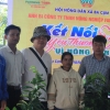 Farming Tiger đồng tài trợ tặng 300 cây giống mãng cầu Thái cho các hộ dân tộc Raglai ở huyện Khánh Sơn tỉnh Khách Hoà.