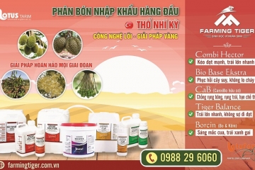 Giải pháp vàng cho mọi giai đoạn trên cây Sầu Riêng !