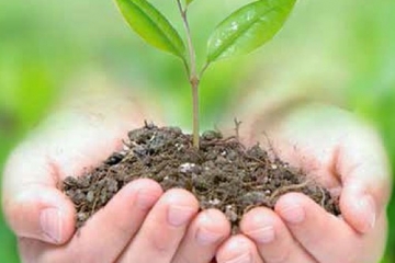 Kiến thức cơ bản về phân bón