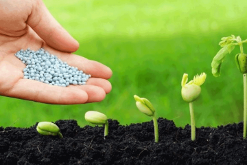 3,8 triệu tấn phân bón được nhập khẩu về Việt Nam trong năm 2020