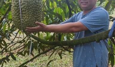 hình ảnh thực tế của nhà nông tin dùng sản phẩm Farming Tiger