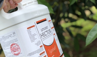 HECTOR 5L
