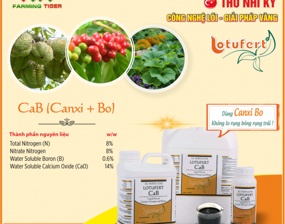 Hướng dẫn sử dụng CaB OrGanic (Canxi Bo Hữu Cơ)