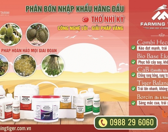 Giải pháp vàng cho mọi giai đoạn trên cây Sầu Riêng !