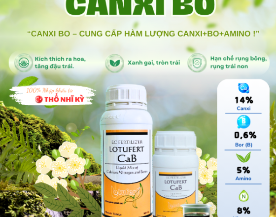 CaB (Canxi Bo) - HỖ TRỢ GÌ TRONG GIAI ĐOẠN LÀM BÔNG NUÔI TRÁI