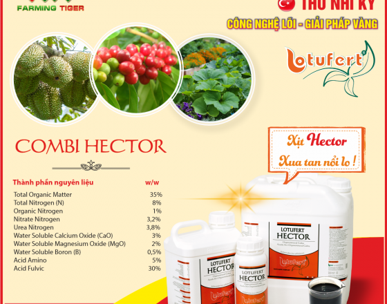 Hướng dẫn sử dụng Combi Hector