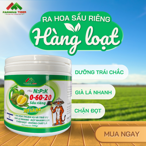 NPK 0-60-20 – Kích Hoa Mạnh, Già Lá Nhanh, Ra Hoa Hàng Loạt (500g)