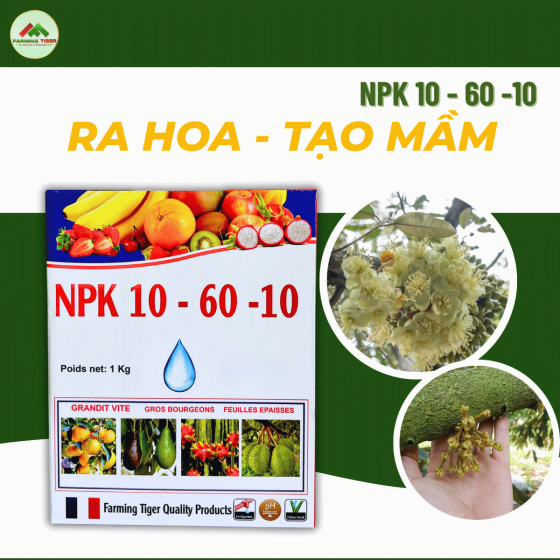 PHÂN BÓN NPK 10-60-10 – KÍCH HOA MẠNH, NUÔI MẦM KHỎE (1 kg)