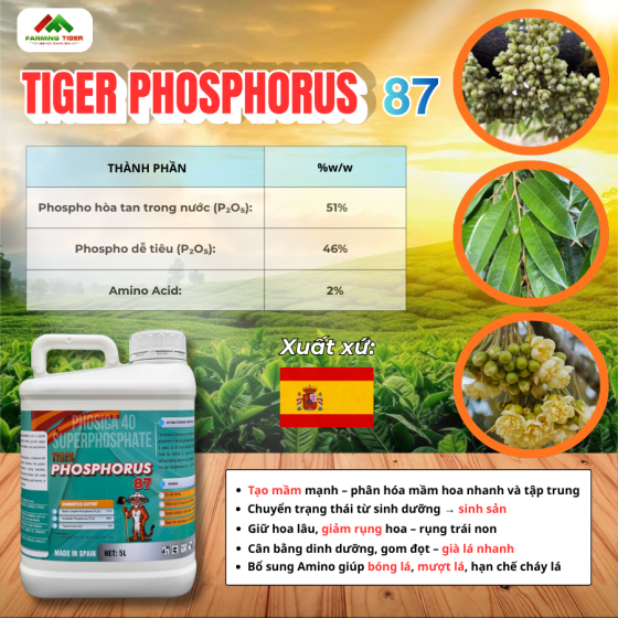 TIGER PHOSPHORUS 87 (5 LÍT) - LÂN DẠNG LỎNG cao cấp, giúp tạo mầm nhanh – phân hóa hoa mạnh – bung rễ khỏe