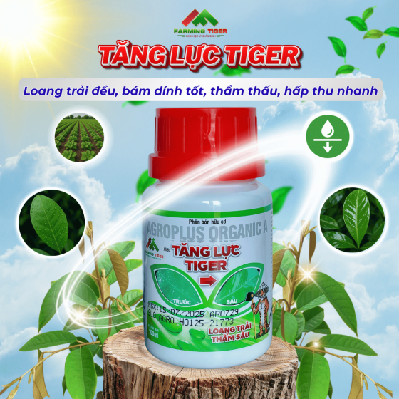  Tăng Lực Tiger (100ml) - Bám dính tốt, Thẩm thấu nhanh, Loang trải đều