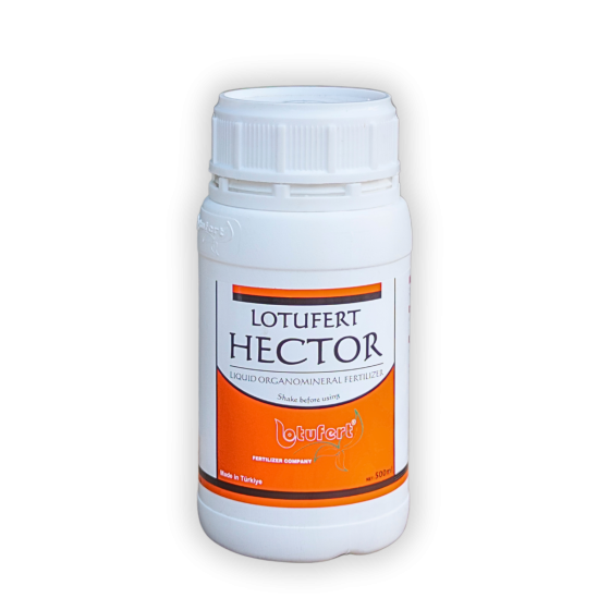 COMBI HECTOR - 500ML
