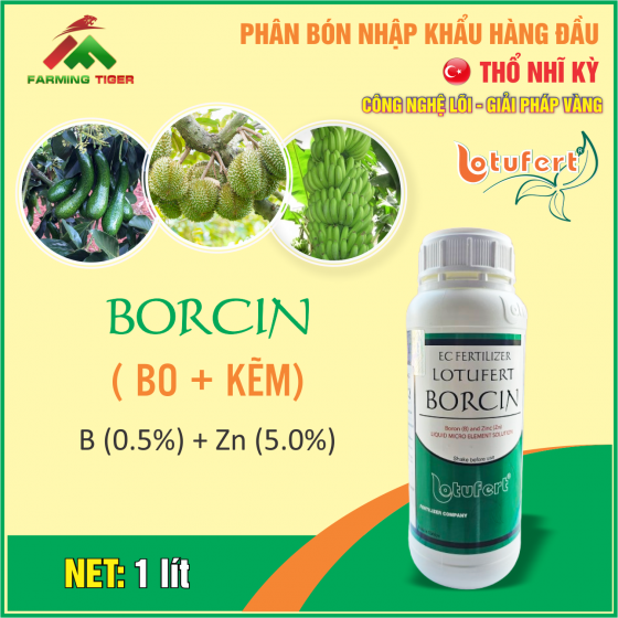 BORCIN (BO+KẼM) - 1 LÍT