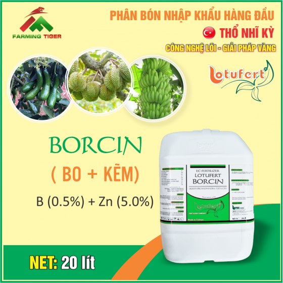 BORCIN (BO+KẼM) - 20 LÍT