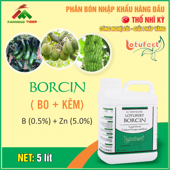 BORCIN (BO+KẼM) - 5 LÍT