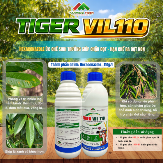 TIGER VIL 110 – HOẠT CHẤT HEXACONAZOLE, CHẶN ĐỌT HIỆU QUẢ