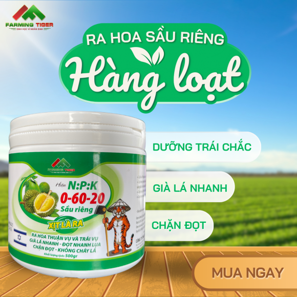 NPK 0-60-20 – Kích Hoa Mạnh, Già Lá Nhanh, Ra Hoa Hàng Loạt (500g)