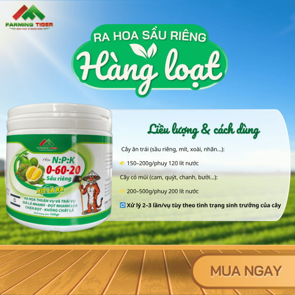 NPK 0-60-20 – Kích Hoa Mạnh, Già Lá Nhanh, Ra Hoa Hàng Loạt (500g)