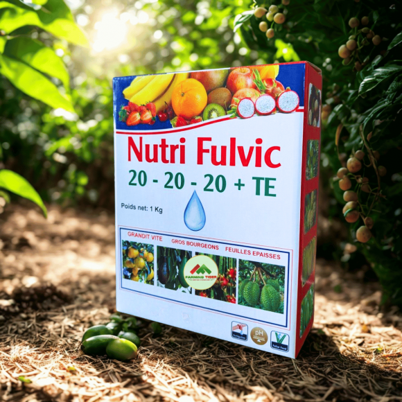 Nutri Fulvic 20-20-20+TE (1 kg) - PHÂN BÓN HỖN HỢP NPK - GIÚP RA HOA, DƯỠNG TRÁI, PHỤC HỒI 