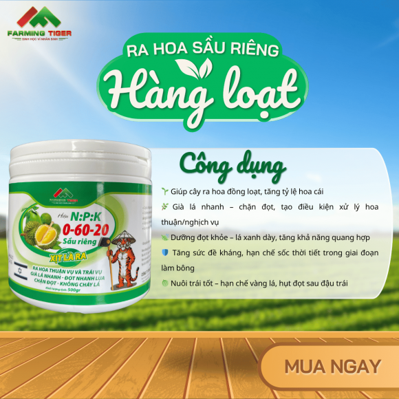 NPK 0-60-20 – Kích Hoa Mạnh, Già Lá Nhanh, Ra Hoa Hàng Loạt (500g)
