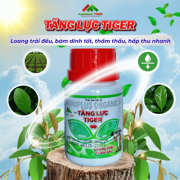 Tăng Lực Tiger (100ml) - Bám dính tốt, Thẩm thấu nhanh, Loang trải đều