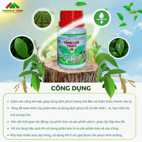  Tăng Lực Tiger (100ml) - Bám dính tốt, Thẩm thấu nhanh, Loang trải đều