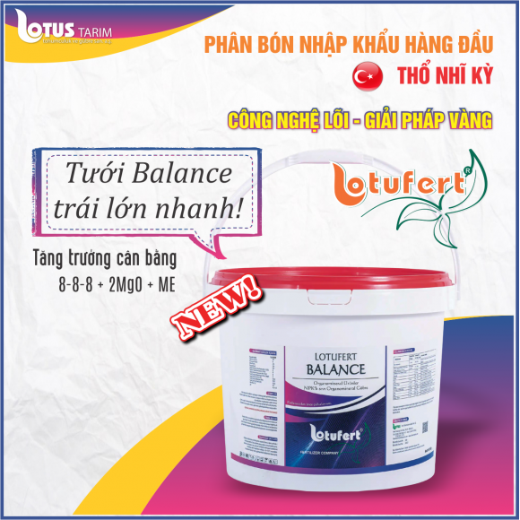 Tiger Balance - Xô 20 kg