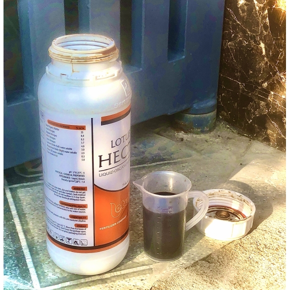 COMBI HECTOR - 1 LÍT