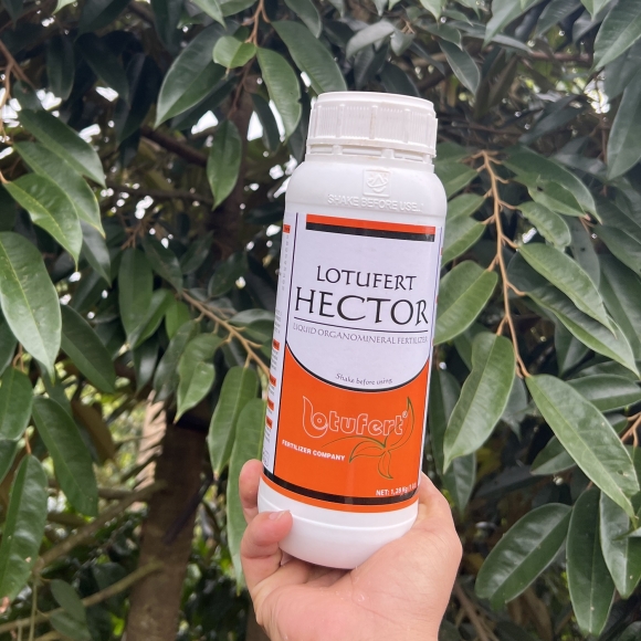 COMBI HECTOR - 1 LÍT