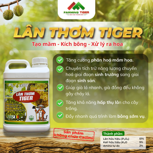 Lân Thơm Tiger (5 lít) chuyên dùng để tạo mầm kích bông xử lý ra hoa nghịch vụ