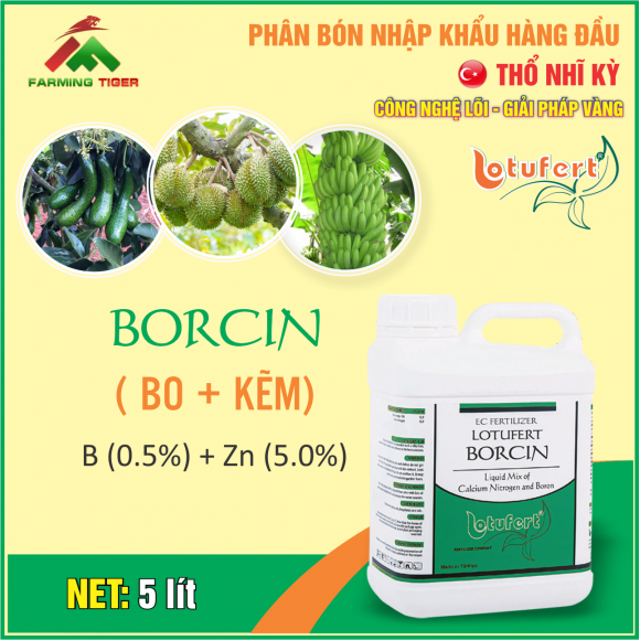 BORCIN (BO+KẼM) - 5 LÍT