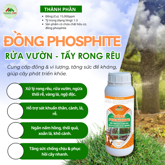 ĐỒNG PHOSPHITE – RỬA VƯỜN, LÀM SẠCH RONG RÊU 